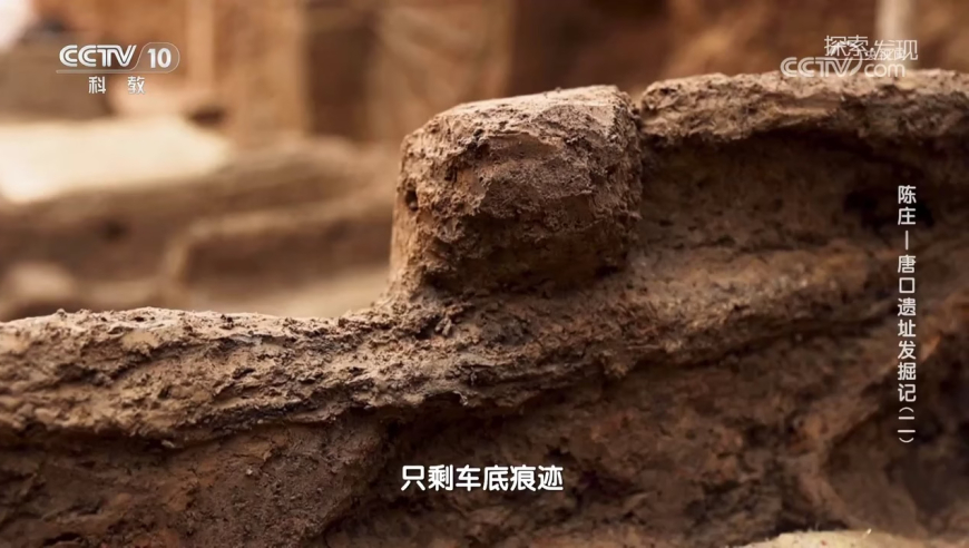 女子看不孕意外发现怀孕,2025年新奥门天天开彩免费资料,全面解答解释落实_HarmonyOSV10.76