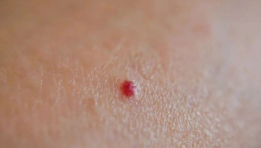 新澳门开奖结果直播现场视频下载,努力备战广西三月三,全面解答解释落实_精简版V14.1
